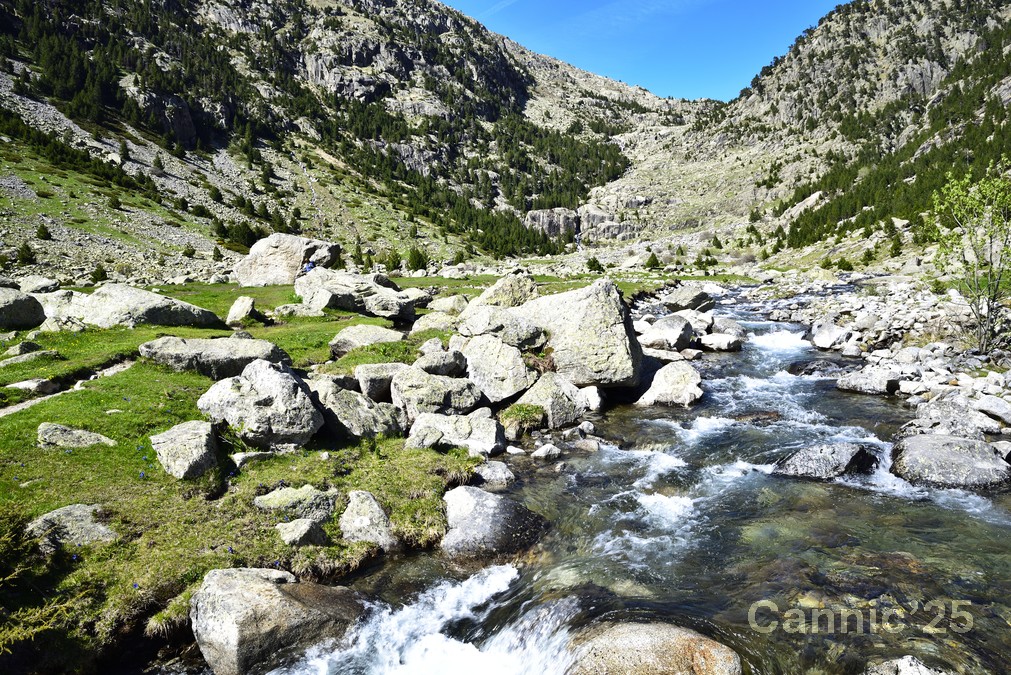 LlacTravessani_20250525_57.jpg