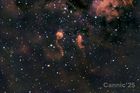 IC410_20250315_small.jpg