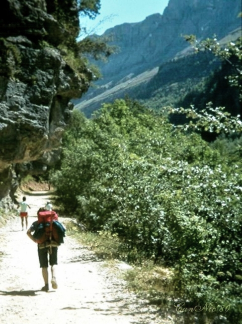 MontPerdut80_22.jpg